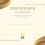 WhatsApp Image 2025-11-11 at 11.43.25 AM